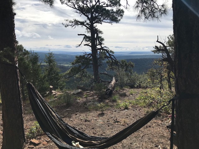 hammock